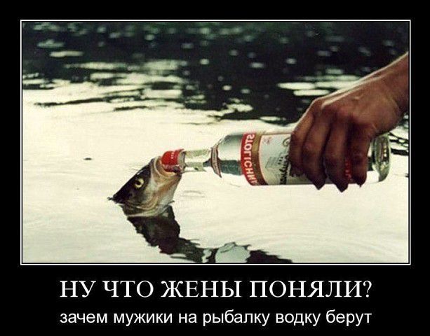 НУ ЧТО ЖЕНЫ ПОНЯЛИ зачем мужики на рыбалку водку берут