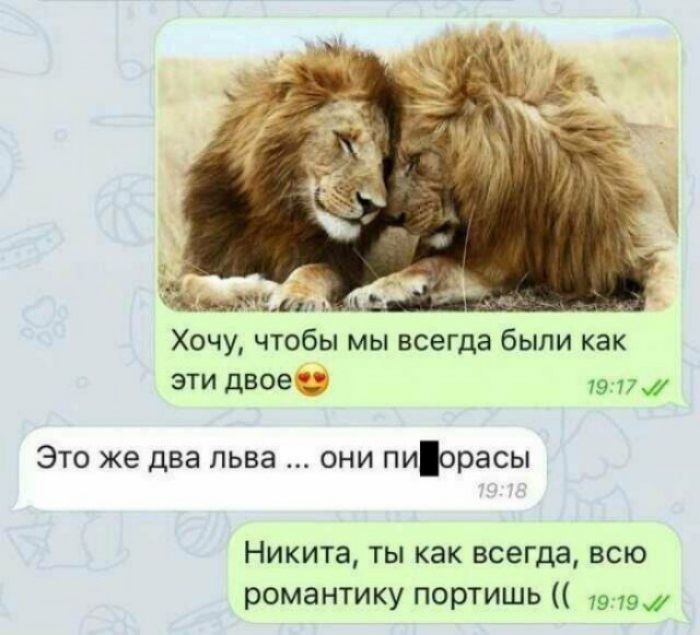 Хочу чтобы мы всегда были как ЭТИ двое 1917 Это же два льва они пиорасы Никита ты как всегда всю романтику портишь 19 тэш
