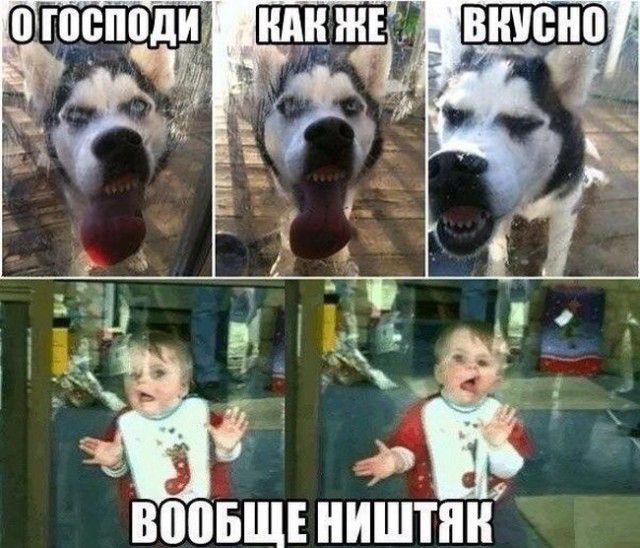 ВППБЩЕ ИШПШ