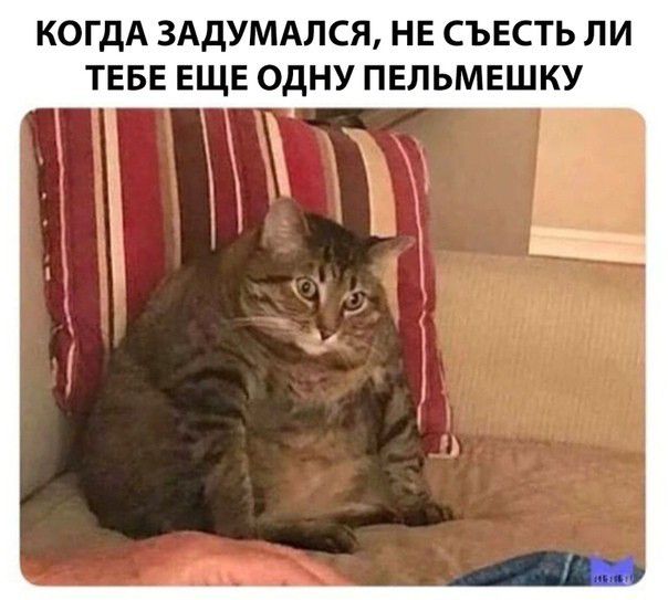 КОГДА ЗАДУМАЛСЯ НЕ СЪЕСТЬ ЛИ