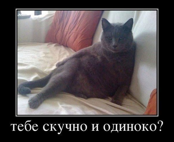 тебе скучно И одиноко