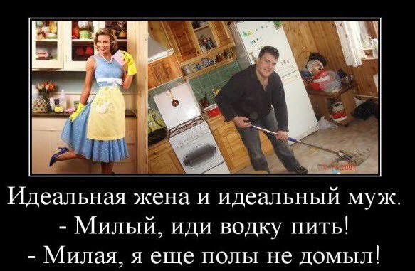 Идеальная жена и идеальный муж Милый иди водку пить Милая я еще полы не домыл