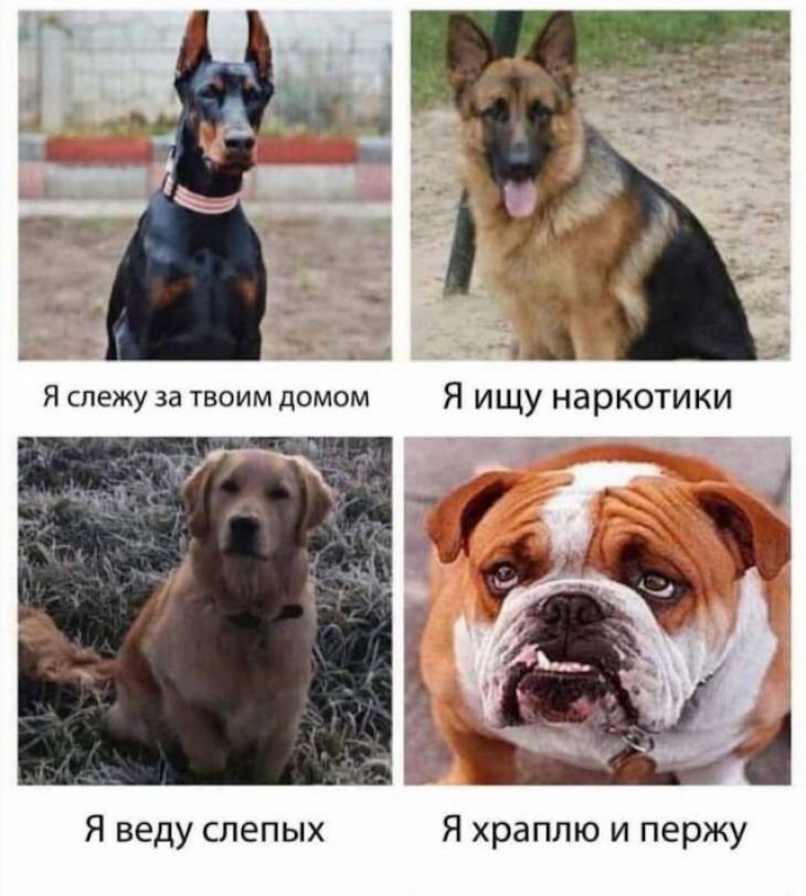 Я веду слепых Я храплю и пержу