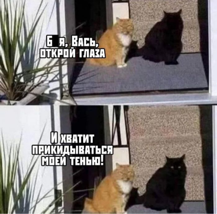 пиикидывпться мини тснып
