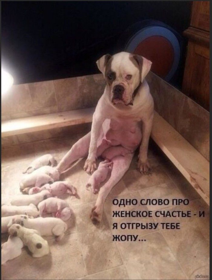 ОДНО СЛОВО П Б ЖЕНСКОЕ СЧАСТЬЕ _ Я ОТГРЫЗУ ТЕБЕ ЖОПУ