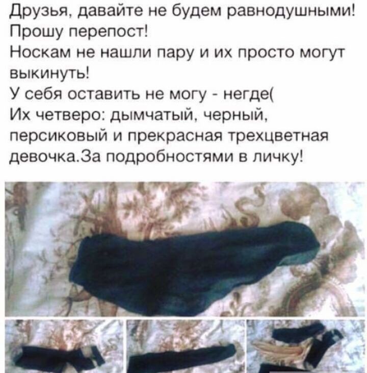 Друзья давайте не будем равнодушными Прошу перепост Носкам не нашли пару и их просто могут выкинуть У себя оставить не могу негде Их четверо дымчатый черный персиковый и прекрасная трехцветная девочка3а подробностями в личку