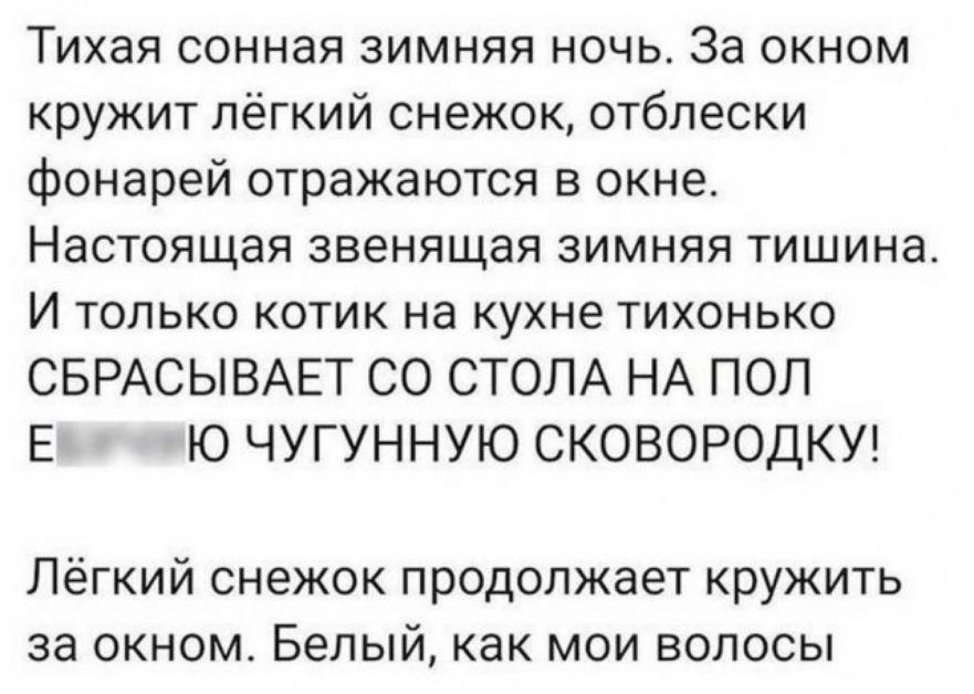 Тихая сонная зимняя ночь За окном кружит лёгкий снежок отблески фонарей отражаются в окне Настоящая звенящая зимняя тишина И только котик на кухне тихонько СБРАСЫВАЕТ СО СТОЛА НА ПОЛ Е Ю ЧУГУННУЮ СКОВОРОДКУ Лёгкий снежок продолжает кружить за окном Белый как мои волосы
