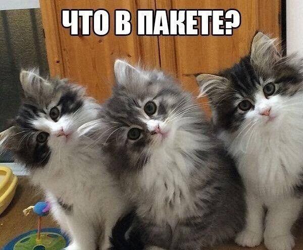 что пилинга щ