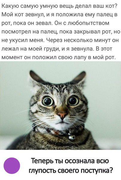 Какую самую умную вещь депап ваш кот Мой кот зевнуп и я положила ему палец в рот пока он зевал Он с любопытством посмотрел на палец ПОКЗ закрывал рОТ НО не укусил меня Через несколько минут он лежал на моей груди и я зевнула В этот МОМЭНТ он положил СВОЮ ПЗПУ В МОЙ рОТ Теперь ты осознала всю глупосгь своею поступка