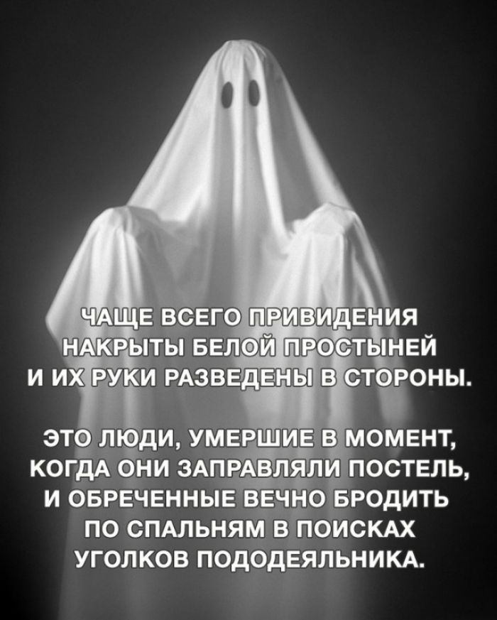 ЕНИЯ іі _ тьшги антены этэ діади УМЕШЁРШ когдА едни ЗАпРАвляли постель и оврвченныв вано Бродить по спдльням впоискдх уголков подбдеяльникм
