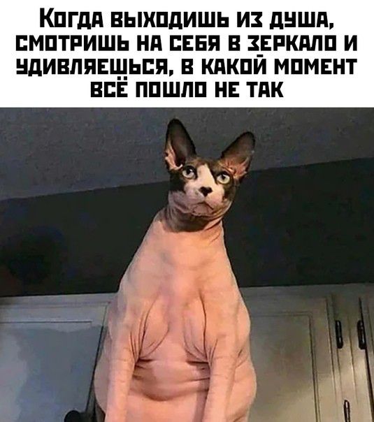 Кпгдп выхпдишь из дншд мптпишь нд свая в Епкппп и ЩИВЛЯЕЩЬБП В КПКПЙ МПМЕНТ ВСЕ ППШЛП НЕ ТАК 3