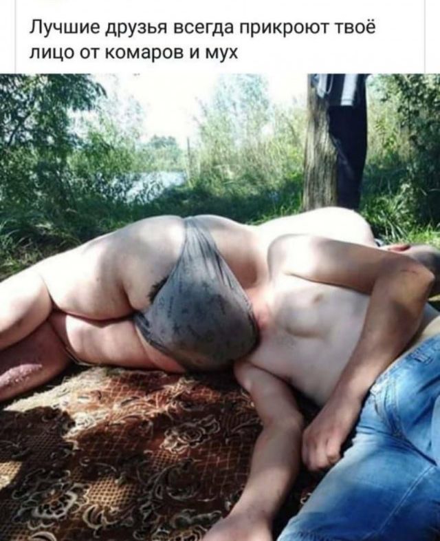 Лучшие друзья всегда прикроют твоё лицо от комаров и мух