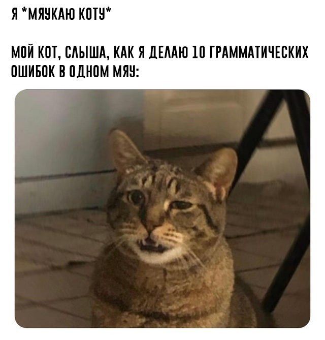 Я МЯНКАЮ КПП МВК КШ ЕАЫША КАК Я ЛЕМЮ 11 ГРАММАТИЧЕЕКИХ ОШИБОК В одном МЯН