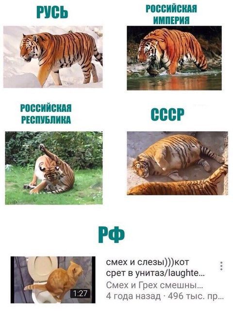 смех и спе3ыкот орет в унитазаи9 те Смех и Грех смешны 4 года назад 496 тыс пр