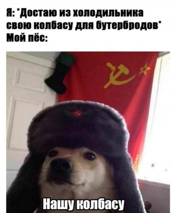 достаю из холодильника свою полису для ппвппподов Мой пёс нашу колбас