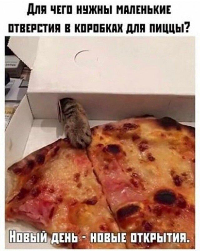 для ШП ЖНЫ НМШЬКИЕ ПТВППИП КПРПБШ для пиццы