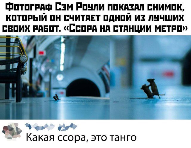 Фптпгщш Езм Рпнпи ппкп_3дп пнимпк кптппыи пн читдЕт пднпи и лнчших пвпих пднптдиппппд нд тднции мвтпп 5131 1 ъ 1 Какая ссора это танго
