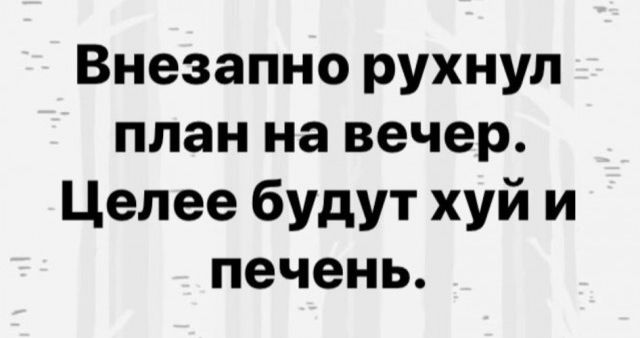 Внезапно рухнул план на вечер Целее будут хуй и печень