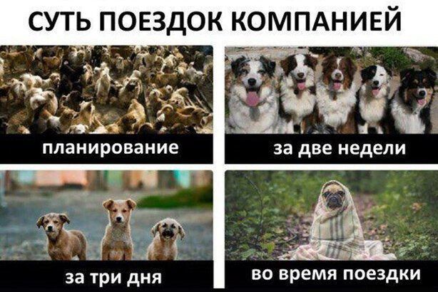 за три дня