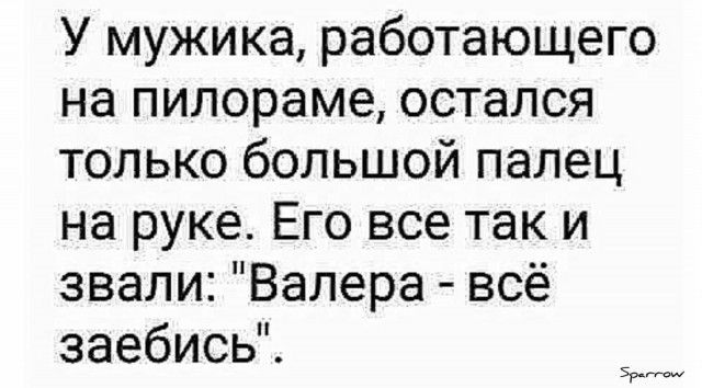 У мужика работающего на пилораме остался только большой палец на руке Его все так и звали Валера всё заебисЫі