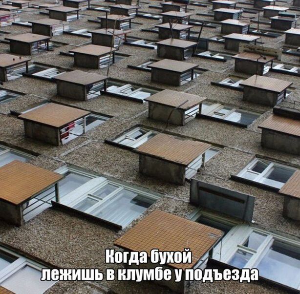 нбгда бухойд клумбе иподъезда ПВ ШЬ