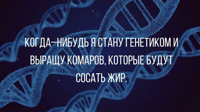 КОГДА НИБУДЬ Я СТАНУ ГЕНЕТИКПМ И ВЫРАЩУ КОМАРОВ КОТОРЫЕ БУДУТ СОСАТЬ ЖИР