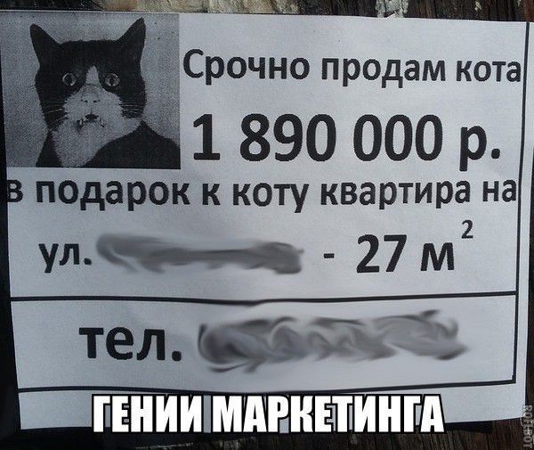 Срочно продам кота 1 890 000 р подарок к коту квартира на у_ 27 м2 _ПЕНИШМПВНЕЧПИШШ