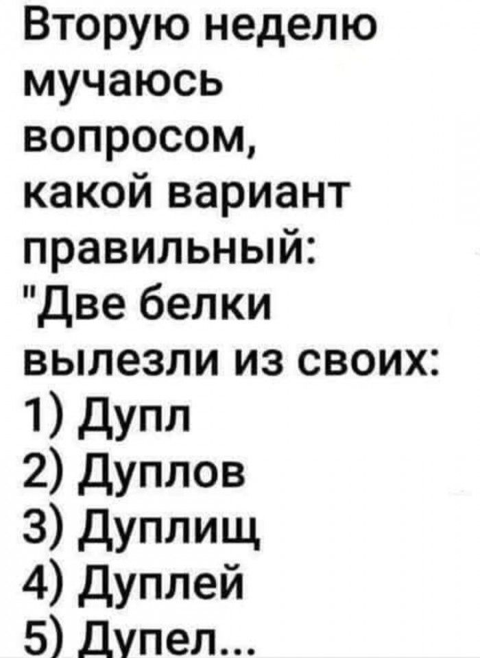 Вторую неделю мучаюсь вопросом какой вариант правильный Две белки вылезли из своих 1 дУпл 2 Дуплов З дУПЛИщ 4 Дуплей 5 Дупел