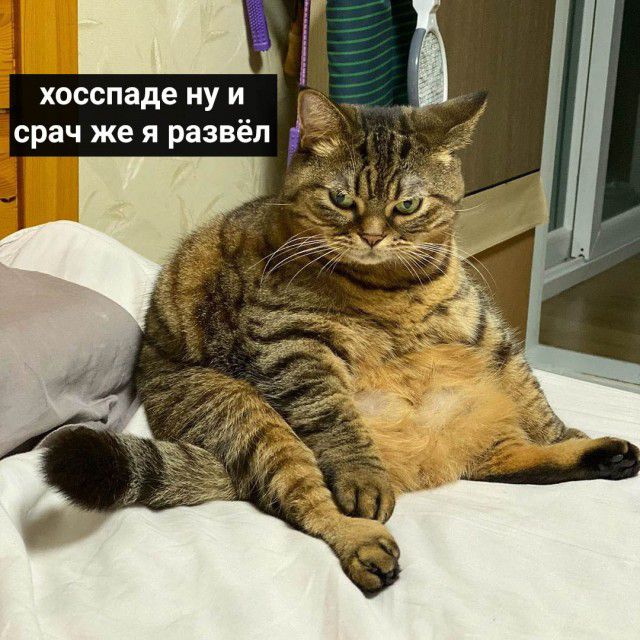 хосспаде ну и срач же я развёл