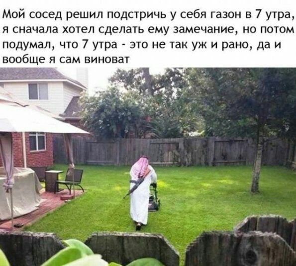 Мой сосед решил подстричь у себя газон в 7 утра я сначала хотел сделать ему замечание но потом подумал что 7 утра это не так уж и рано да и вообще я сам виноват