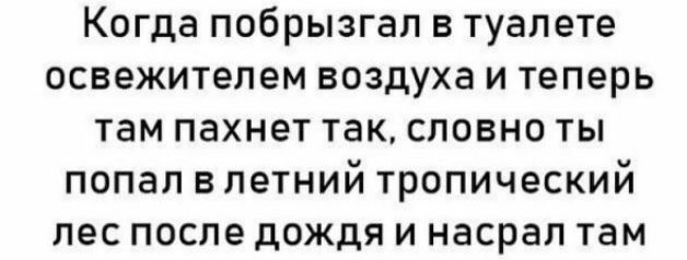 Когда побрызгал в туалете освежителем воздуха и теперь там пахнет так словно ты попал в летний тропический лес после дождя и насрал там