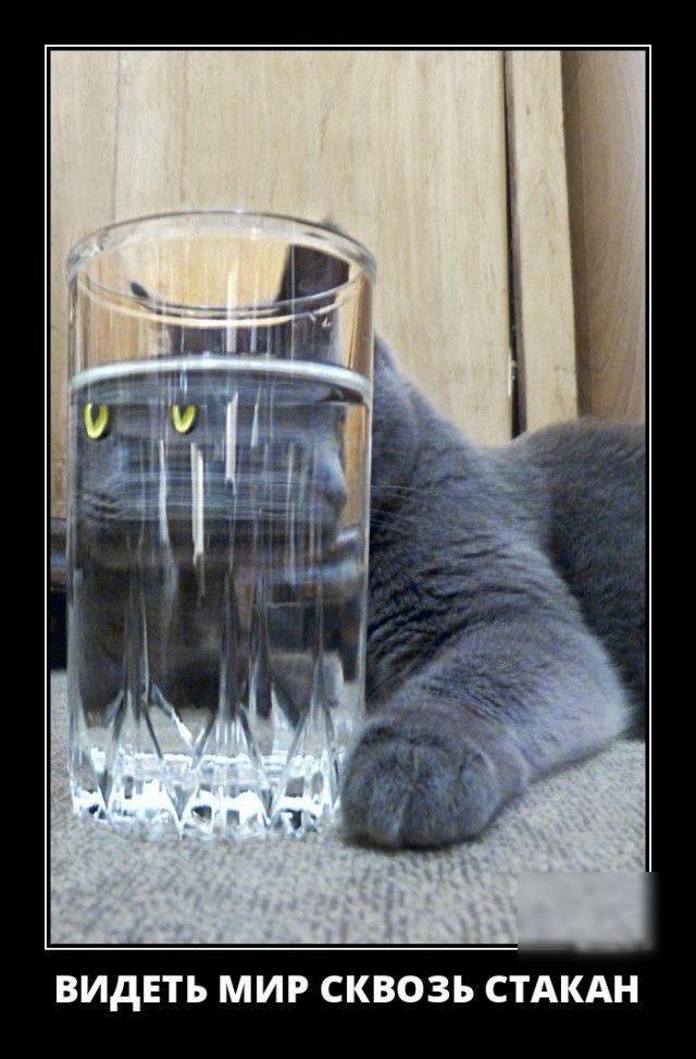 н А к А С в 3 О В к С Р И м В _ Е д И в