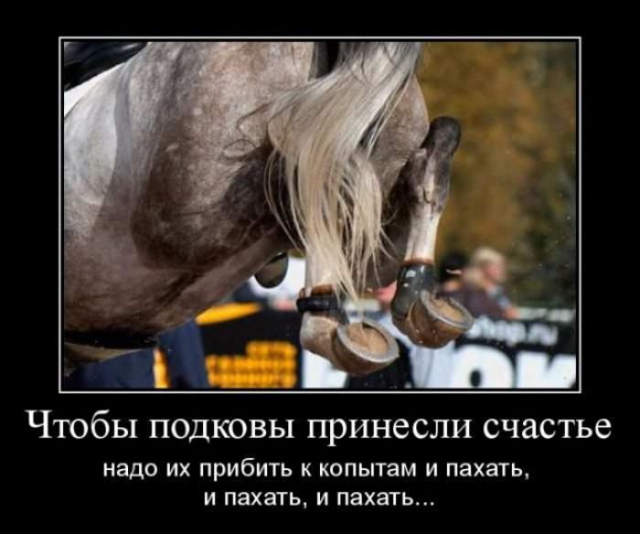 Чтобы подковы принесли счастье надо ИХ прибить К КОПЫТЗМ И пахать И пахать И пахать