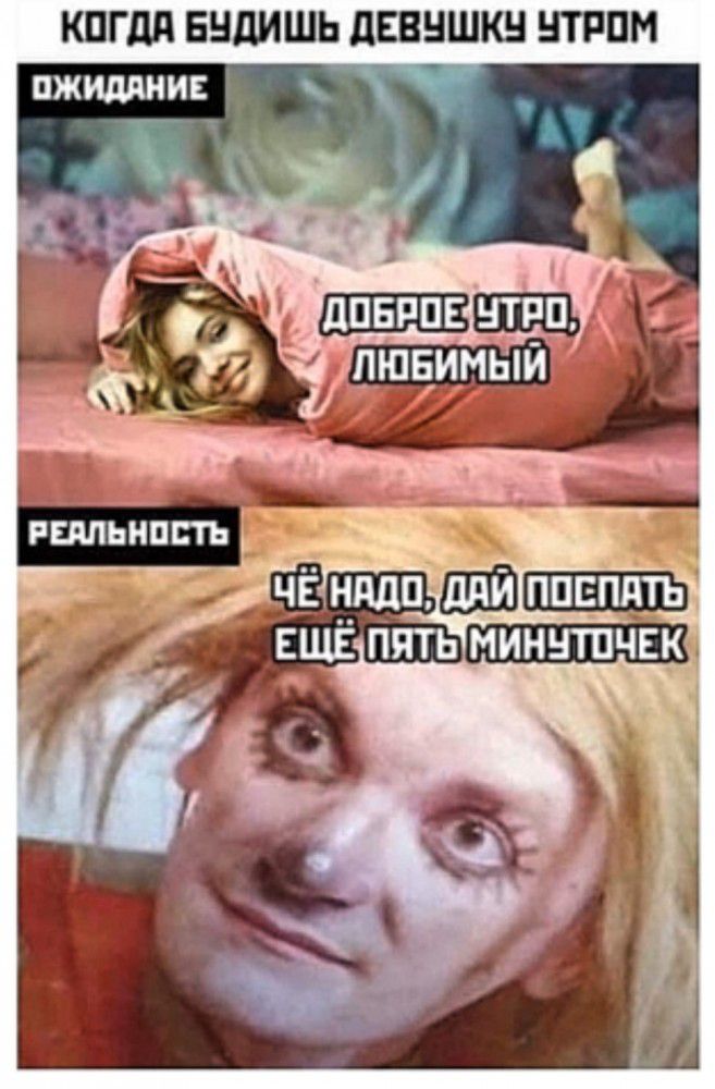 КПГДП ЕНДИШЬ дЕВНШКН НТРПМ пжишчни