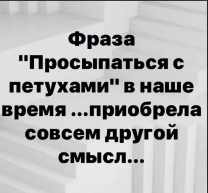 Фраза Просыпаться с петухами в наше время приобрела совсем другой смысл