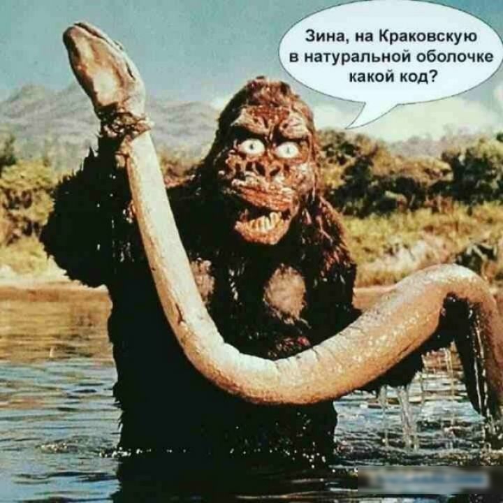 Зина на Краковскую в натуральном оболочке какой код