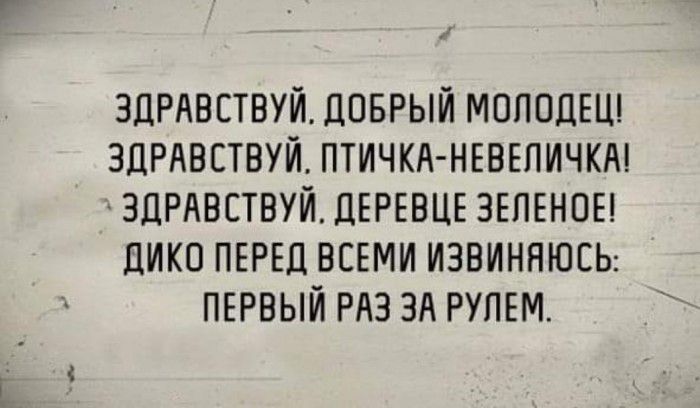 ЗДРАВЕТВУЙ ДОБРЫЙ МОЛОДЕЦ 3ЦРАВСТВУЙ ПТИЧКА НЕВЕПИЧКА ЗДРАВСТВУЙ ДЕРЕВЦЕ ЗЕЛЕНПЕ дИКО ПЕРЕД ВСЕМИ ИЗВИННЮЕЬ ПЕРВЫЙ РАЗ ЗА РУЛЕМ