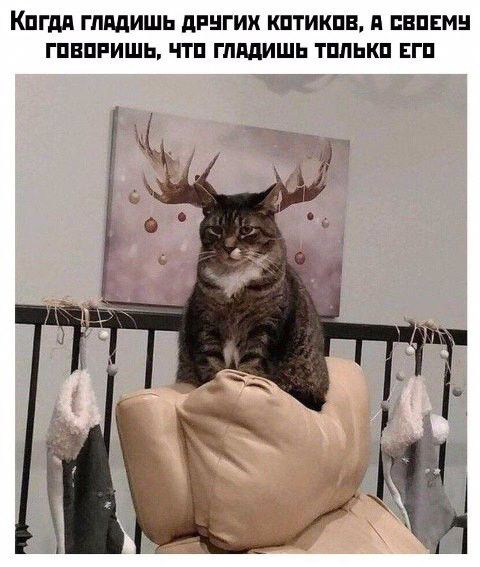 КПГдП ГЛПДИШЬ дРНГИХ КПТИКПВ д ПВПЕМ ГПВПРИШЬ ЧТП ГдддИШЬ ТППЫШ ЕГП