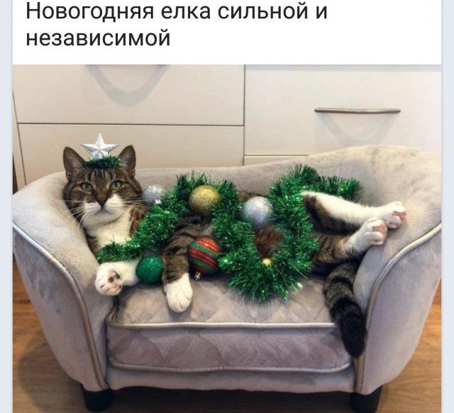 Новогодняя елка сильной и независимой
