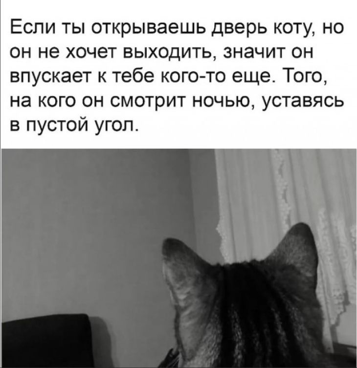 ЕСЛИ ТЫ открываешь Дверь КОТУ НО ОН не ХОЧЕТ ВЫХОДИТЬ ЗНЭЧИТ ОН впускает к тебе кого то еще Того на кого он смотрит ночью уставясь в пустой угол