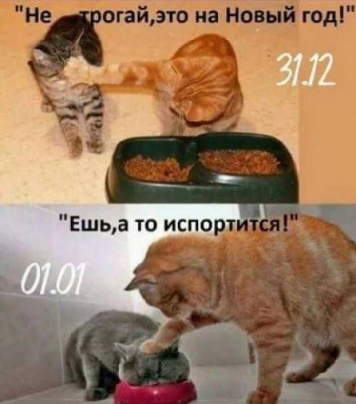 р з э_п1гті97гпсчгіэтгіФ Ё