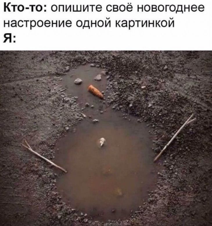 Кто то опишите своё новогоднее настроение одной картинкой Я