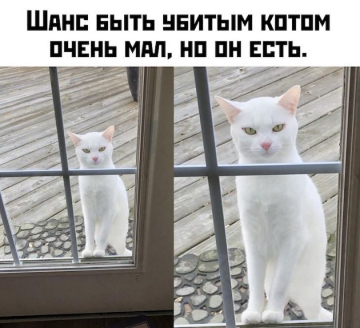 ШПНП БЫТЬ НЕИТЫМ КПТПМ ПЧЕНЬ МАП НП ПН ЕСТЬ зг