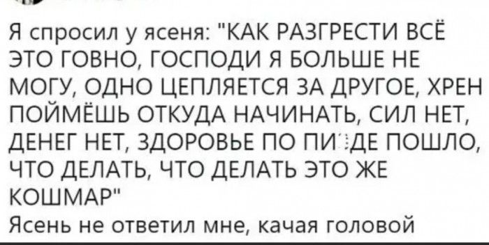 и Я спросил у ясеня КАК РАЗГРЕСТИ ВСЁ ЭТО ГОВНО ГОСПОДИ Я БОЛЬШЕ НЕ МОГУ ОДНО ЦЕПЛЯЕТСЯ ЗА ДРУГОЕ ХРЕН ПОЙМЁШЬ ОТКУДА НАЧИНАТЬ СИЛ НЕТ ДЕНЕГ НЕТ ЗДОРОВЬЕ ПО ПИёДЕ ПОШЛО ЧТО ДЕЛАТЬ ЧТО ДЕЛАТЬ ЭТО ЖЕ КОШМАР Ясень не ОТВЭТИЛ МНЕ качая ГОЛОВОЙ