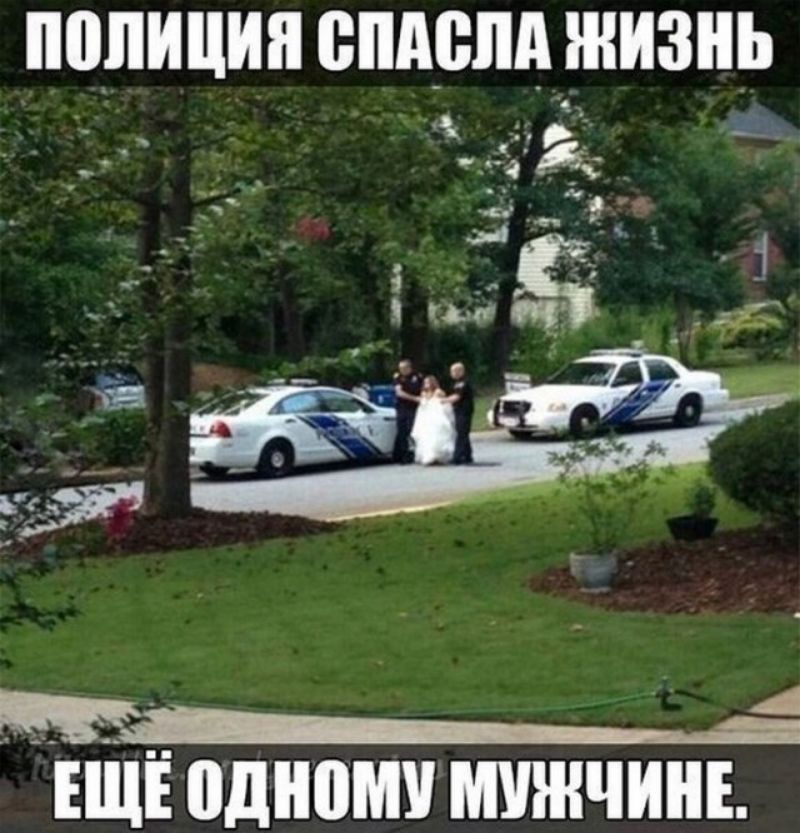 ШШШ ВПАБЛА ШИЗН О _