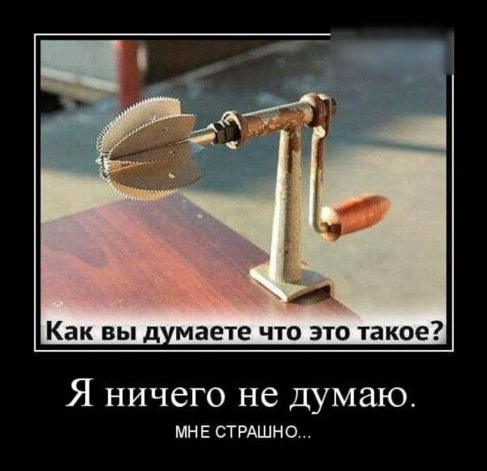 Как вы д маете что это такое Я ничего не думаю МНЕ СТРАШНО