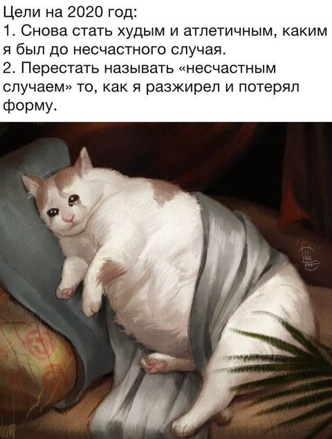 Цели на 2020 год 1 Снова стать худым и атлетичным каким я был до несчастного случая 2 Перестать называть несчастным случаем то как я разжирел и потерял фОРМУ