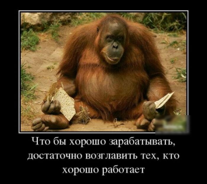 достаточно возглавить тех кто хорошо работает