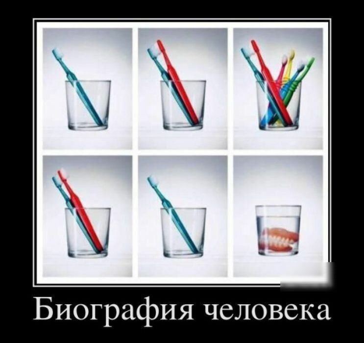 Биография человека