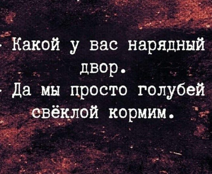 Какой у вас наряднйй двор да мы просто голУбей Ёвеклой кормим вв